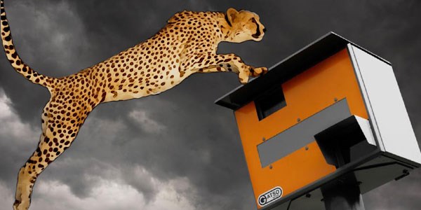 Illustration of a cheetah jumping over a speed camera